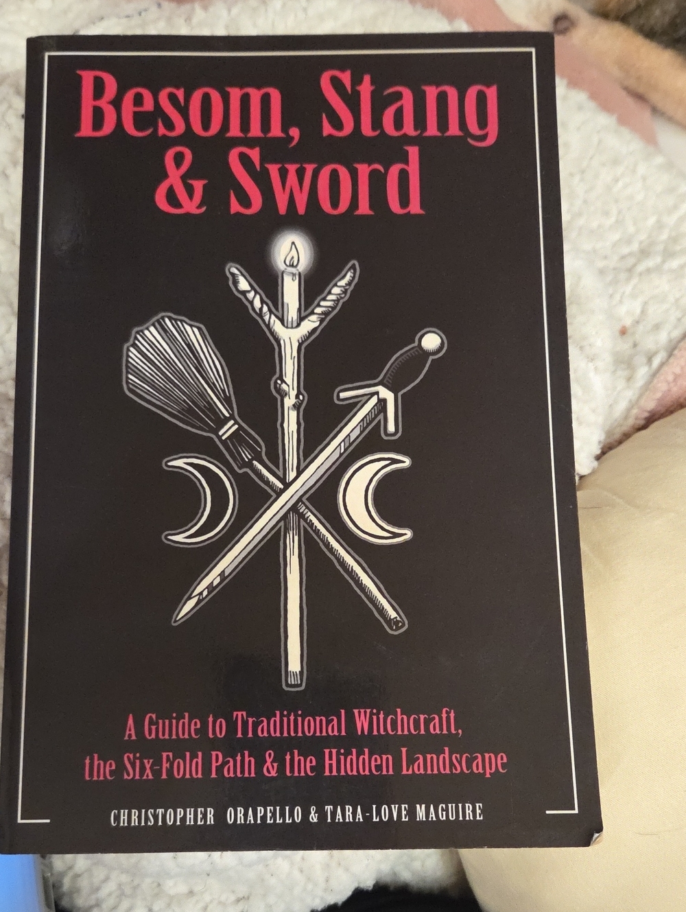 Besom Stag And Sword Book